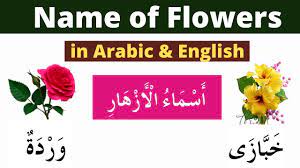 name of flowers in arabic arabic