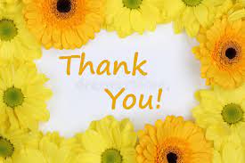 Extend a hearty thanks for your dear ones by sending these flowers. 5 470 Thank You Flowers Photos Free Royalty Free Stock Photos From Dreamstime