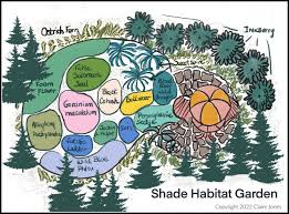 A Habitat Hero Garden For Shade