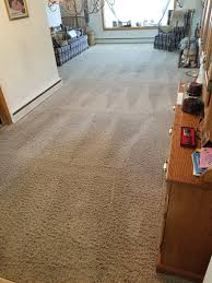 gallery ecodry carpet cleaning maryland