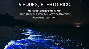 exotic caribbean island