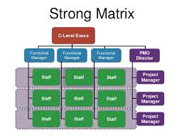 Project Management Organizational Structures