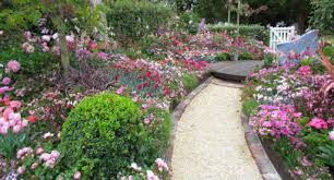 Maybe you would like to learn more about one of these? Charming Cottage Gardens