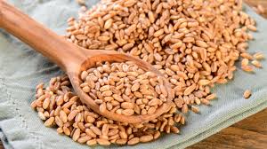 what is farro and what does it taste like