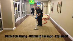 carpet cleaning park ridgespecialists