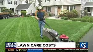 Cost Of Lawn Care Services