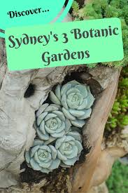 botanic gardens of sydney