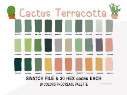 Cactus Terracotta Color Palette Ipad