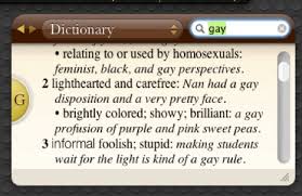 Teen Horrified By Use Of Word Gay In Apple Dictionary App
