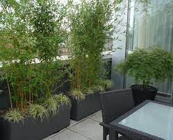 Bamboo Screen Garden Balcony Plants