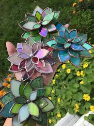 Stained Glass Succulent Lotus Mixed
