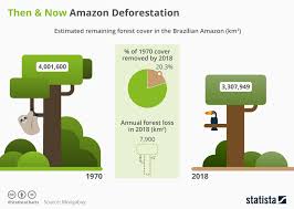 Chart Then Now Amazon Deforestation Statista