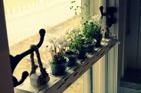 Window Herb Garden Window Plants Diy