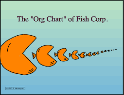 Org Chart Of Fish Corp