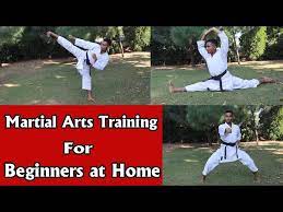 martial arts training for beginners at