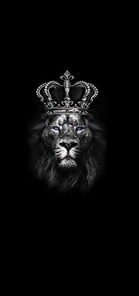black lion lions hd phone wallpaper