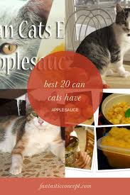 Apples are safe for your cat to eat. Best 20 Can Cats Have Applesauce In 2020 Applesauce Sauce Recipes Canning