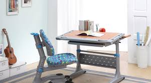 When choosing desks, it's important to focus on how it will be used and what function it will service in the home or office. Desk For The Student 76 Photos Children S Work Desks For The Home With A Shelf The Size Of The Transformers For The Child A Growing Piece Of Furniture With A Rack