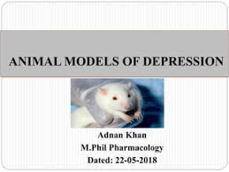 Animal models of Anxiety and depression (ADNAN KHAN)