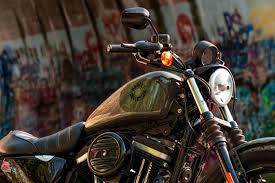 2022 Harley Davidson Iron 883 Images