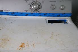how to remove rust from a dryer in 3