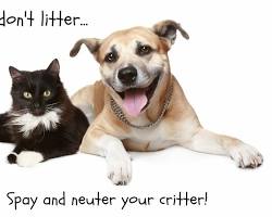 Spay or neuter your pet