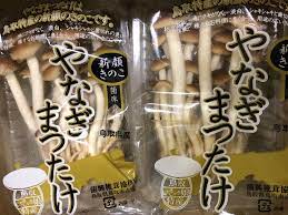 柳松茸(やなぎまつたけ) | 神戸・阪神間の業務用野菜・鮮魚の卸売・毎日配送のイサテンフーズ