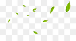 The best gifs for falling leaves. Falling Leaves Png Transparent Falling Leaves Animated Falling Leaves Cleanpng Kisspng