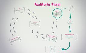 Auditoría Fiscal by Daniela Avilez