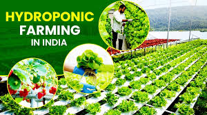 hydroponic farming methods and
