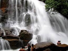 This beauty of nature invites to be captured in your memory lane forever. Sirimane Falls India Tourist Information