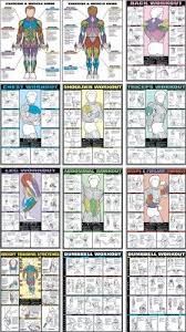 Fitnus Chart Flip Chart 12 Posters In 1 Book Workout