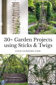 Creative Garden Projects Using Sticks