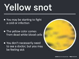 Heres What The Color Of Your Snot Really Means Yellow