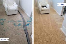 carpet cleaning webster ny chem dry