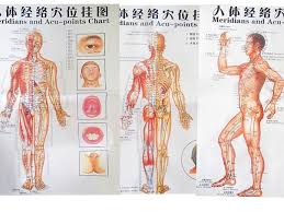 Free Shipping Color Body Acupuncture Points Chart Meridian
