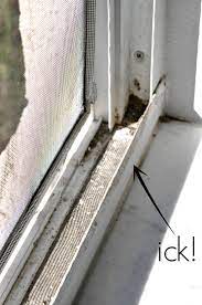 Start with the baking soda. How To Clean Window Tracks First Home Love Life