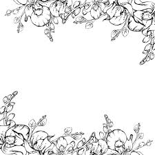 hand drawn vector ink orchid flowers