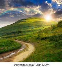 Summer Landscape Mountain Path Through Field Stock Photo 201417569 |  Shutterstock