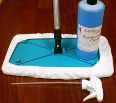 cleaning kit lady baltimore floors