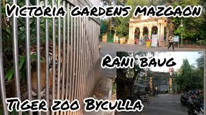 victoria gardens byculla zoo 2021 rani
