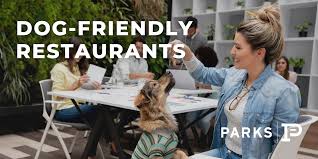 dog friendly restaurants