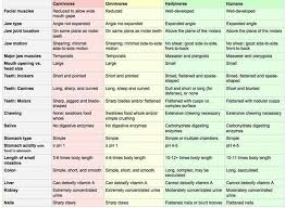 Interesting Chart Comparing Carnivores Omnivores