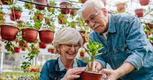 The Benefits Of Elderly Gardening For