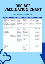 free dog age vaccination chart