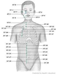 Stomach Meridian St A K A Foot Yang Ming Acupressure