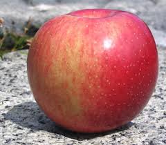 Opalescent ** - Adam's Apples