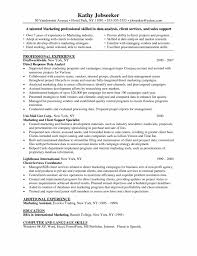Analyst Resume   Free Resume Example And Writing Download Example Resumes Resume Outlines Examples Anuvratfo Resume Outline Examples  Getessayz Doc Resume Examples Cover Letter Template