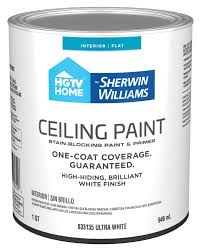 flat white ceiling paint