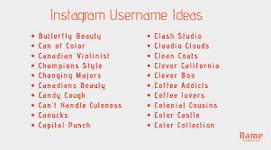 Thinking up the perfect clever username for pof, okcupid or match is hard. Usernames 900 Perfect Instagram Names To Get Followers